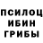 Псилоцибиновые грибы прущие грибы PerNaTiK