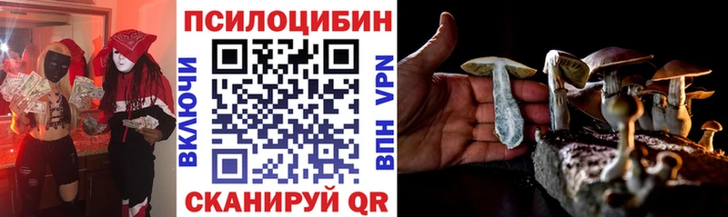 Псилоцибиновые грибы Cubensis  Ельня 